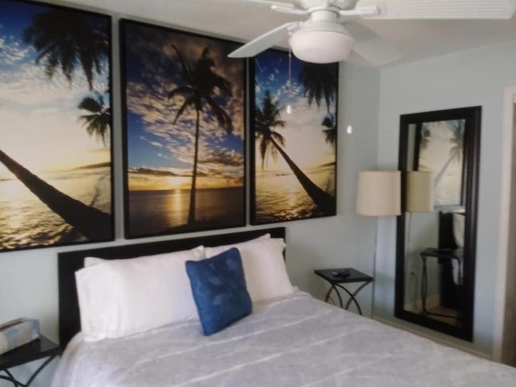 Tampa Bay Beautiful Apartment And Private Jacuzzi Extérieur photo