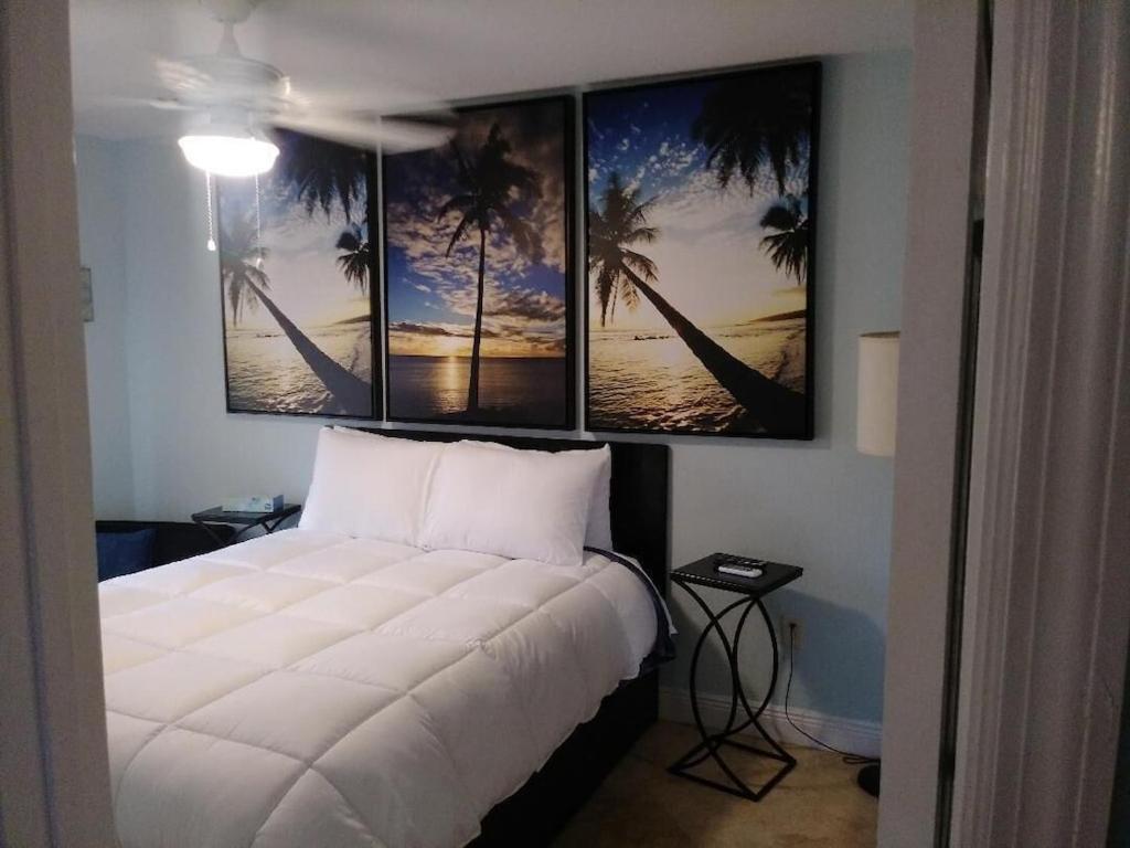 Tampa Bay Beautiful Apartment And Private Jacuzzi Extérieur photo